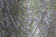 Old Portsmouth fibreglass roof work